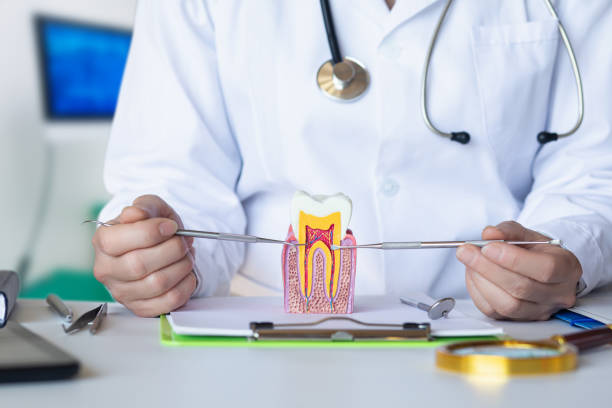 Best Urgent Tooth Repair  in Borger, TX